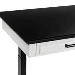 47" Losondo Transitional Height Adjustable Desk With USB Ports - HOMES: Inside + Out -HOMES: Inside + Out Store GUEST 0180c78e 955b 4879 bee3 730be90986ca