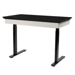 47" Losondo Transitional Height Adjustable Desk With USB Ports - HOMES: Inside + Out -HOMES: Inside + Out Store GUEST a8a19656 062a 46a2 846c b0c21cd7352a